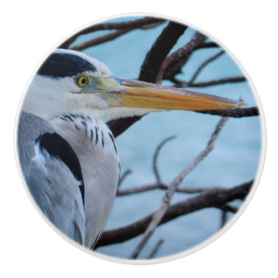 Grå Heron Knopp