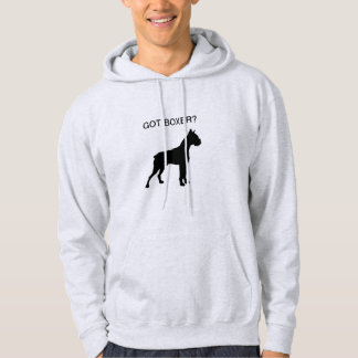 Grå Hoodie - harboxare
