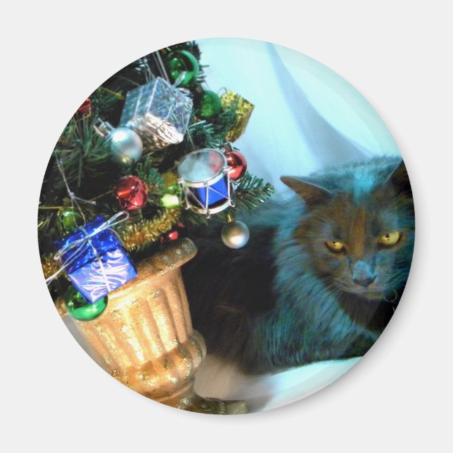 Grå julkattunge V Magnet (Framsidan)