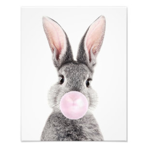 Grå kanin som blåser rosa bubbelgum fototryck