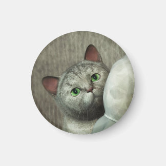 Grå Katt 1 Magnet
