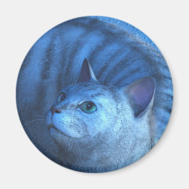 Grå Katt 4 Magnet