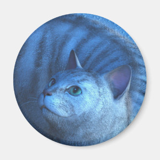 Grå Katt 4 Magnet