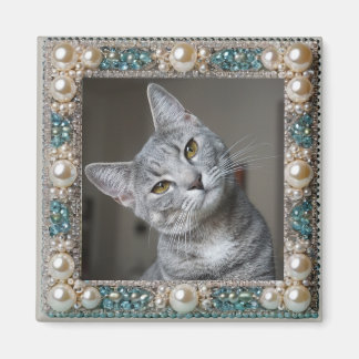 Grå Katt Djur Minnesankare Magnet