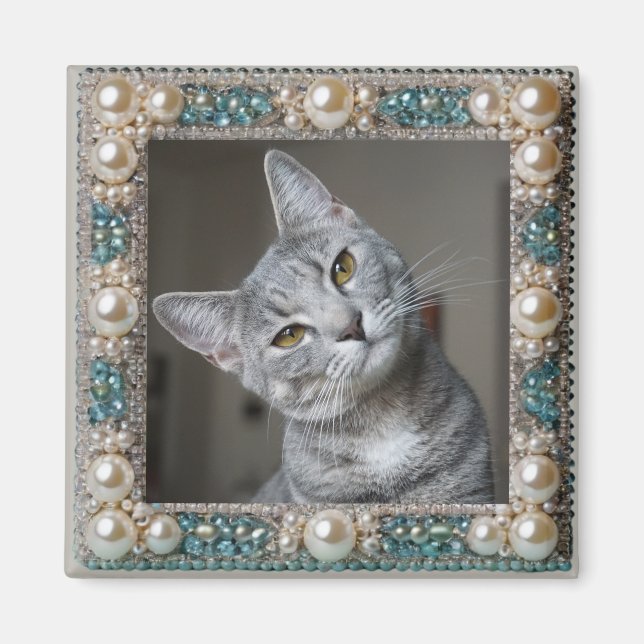 Grå Katt Djur Minnesankare  Magnet (Framsidan)