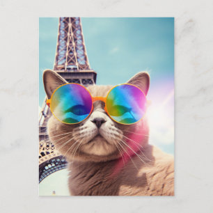 Grå katt i solglasögon i Paris Vykort
