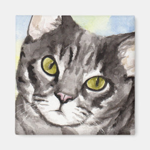 Grå katt magnet