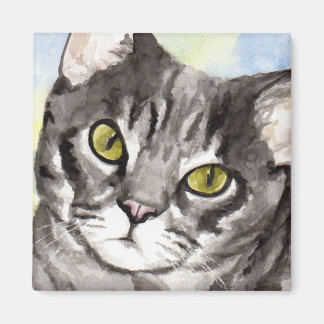 Grå katt magnet