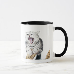 grå katt på vitbakgrund mugg