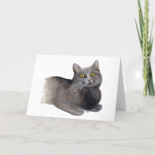 Grå Katt Sympati kort