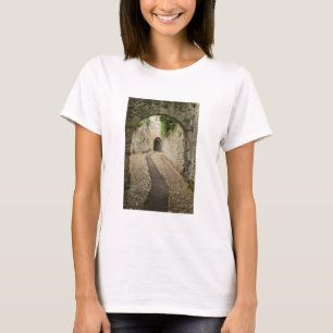 Grå kullerstensgata, Frankrike T Shirt