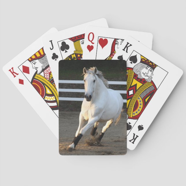 Grå Lusitano på Liberty Playing Cards Casinokort (Baksidan)