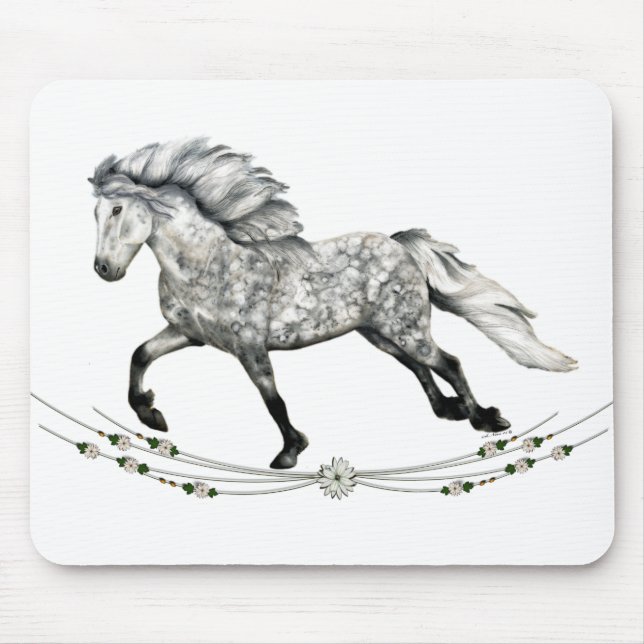 Grá Musmatta (Framsidan)