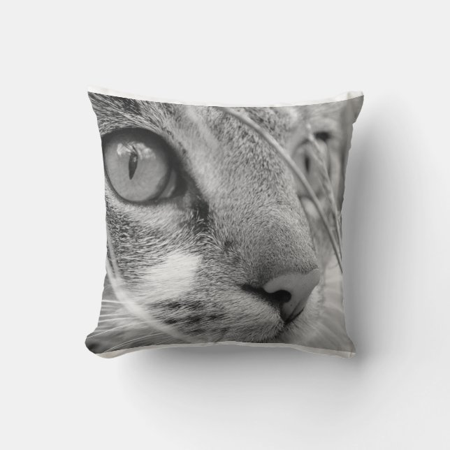 grå och vit katt på en grön kudde (Framsida)
