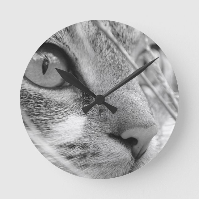 grå och vit katt på en grön rund klocka (Framsida)