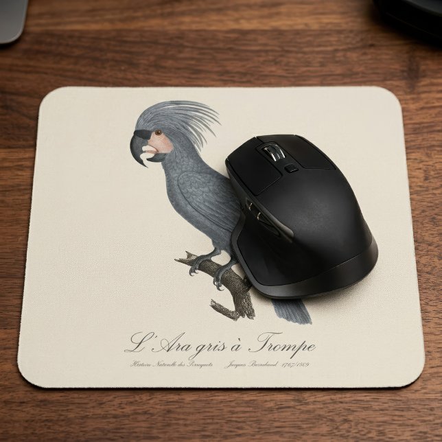 Grå palm kakadua  musmatta (Great Black Palm Cockatoo, Probosciger aterrimus. Mouse Pad)