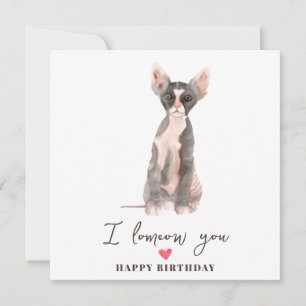 Grå Rosa Sphynx Katt Mamma Valp Husdjur Födelsedag Kort