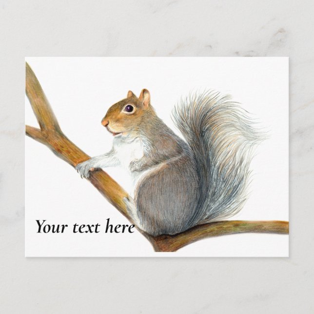 Grå Skostom Tecknad med Blyerts Konstverk Vykort (Framsida)