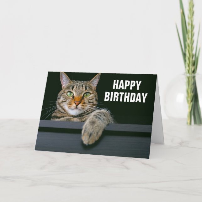 Grå Tabby Katt Ansikte | Lycka Till Födelsedagen Kort (Framsida)