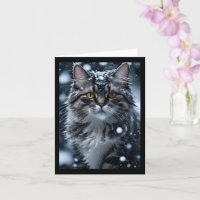 Grå Tabby Katt i Snö Blank Välkomst 
