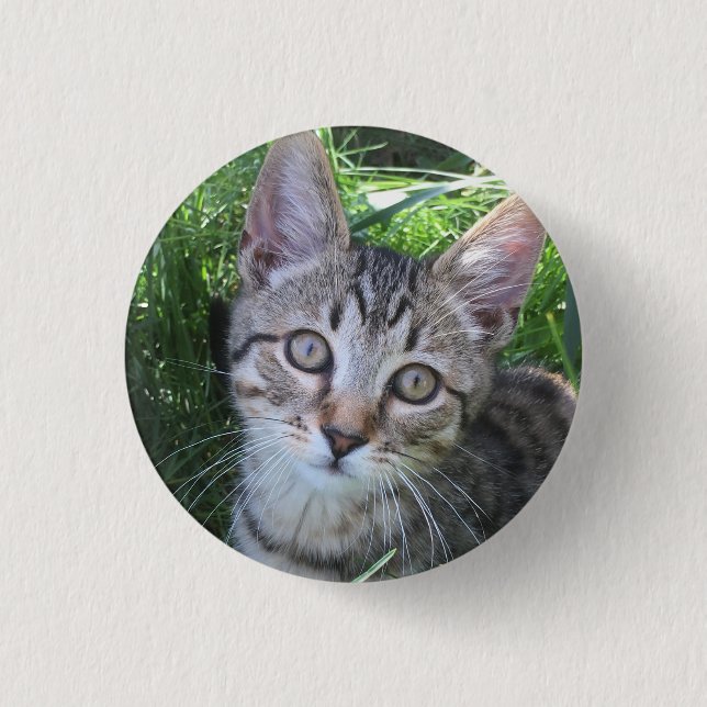 Grå Tabby Katt Knapp (Framsida)
