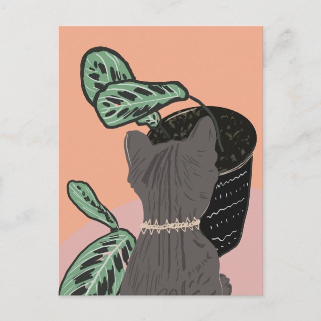 Grå Tabby Katt Växter Tack  Vykort (Framsida)