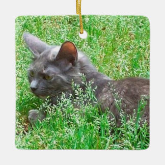 Grå Tortie katt Julgransprydnad Keramik
