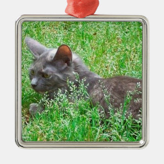 Grå Tortie katt Julgransprydnad Metall