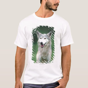 Grå varg 2 tee shirt