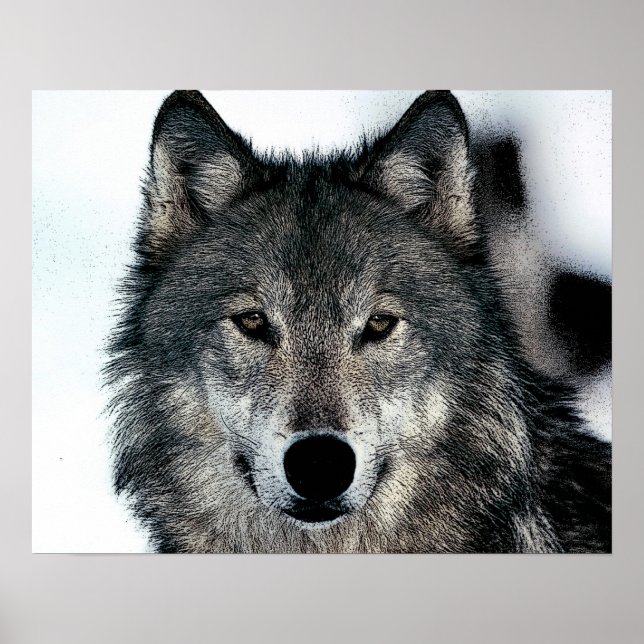 Grå Varg Affisch (Framsidan)