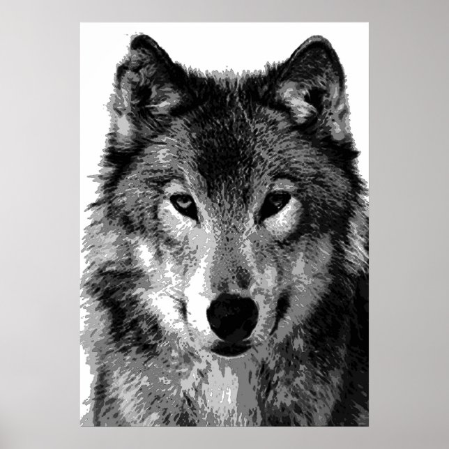 Grå Varg Affisch Print (Framsidan)