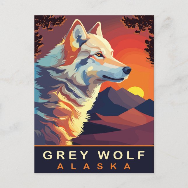 Grå Varg, Alaska, Solnedgång över Bergen, Resa Vykort (Framsida)