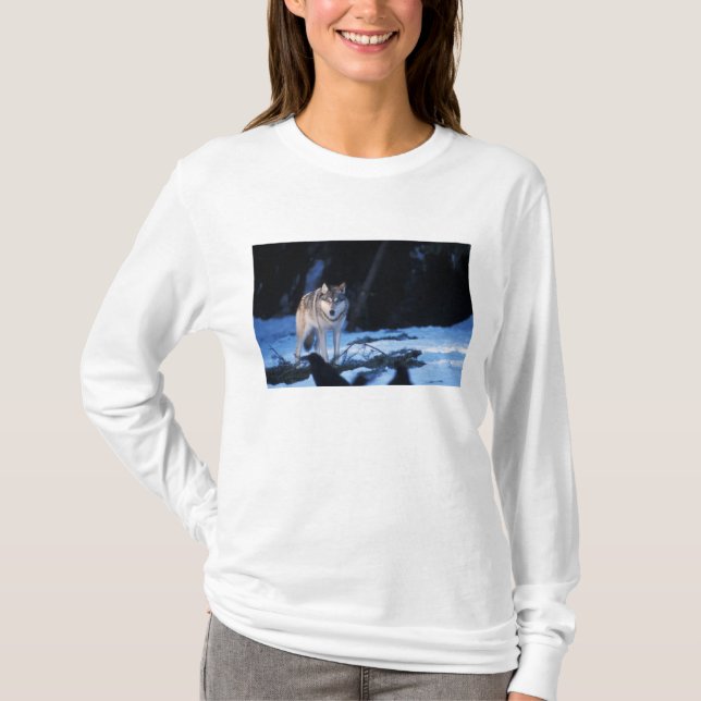 grå varg, Canis lupus, i förberg T-shirt (Framsida)