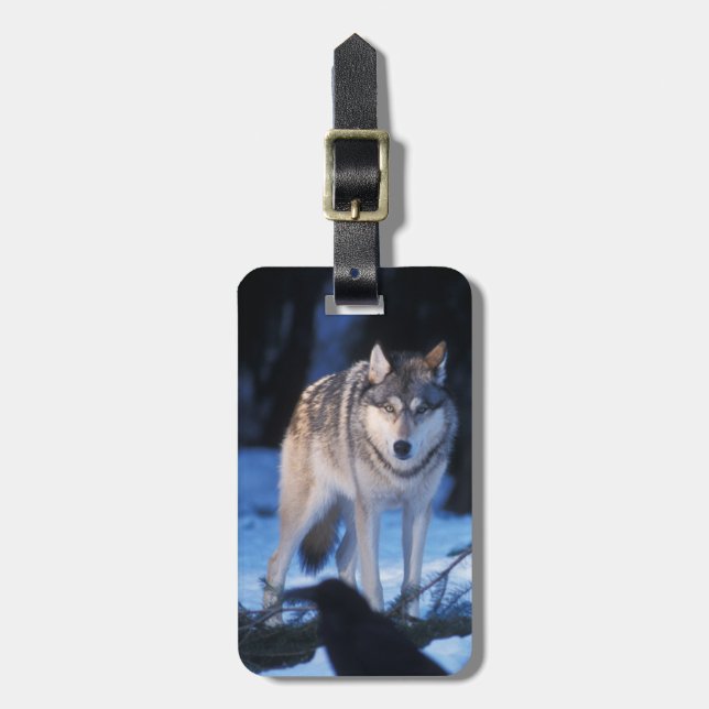 grå varg, Canis lupus, i förbergen Bagagebricka (Vertikal Framsida)