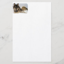 Grå varg eller timmervarg som lägger i snön brevpapper