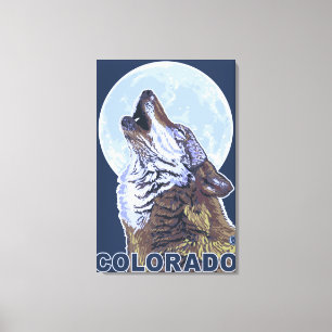 Grå varg HowlingColorado Canvastryck