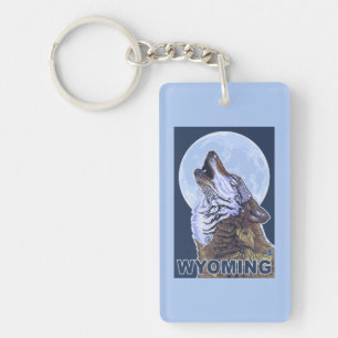 Grå varg HowlingWyoming