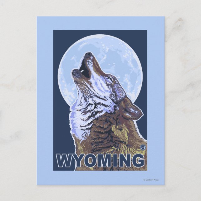 Grå varg HowlingWyoming Vykort (Framsida)