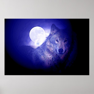 Grå Varg & Månaffisch - Blå Nattvargar Poster