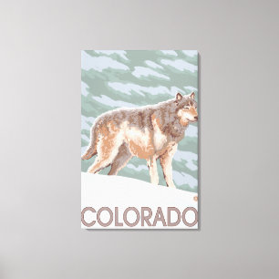 Grå varg StandingColorado Canvastryck