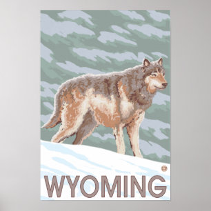 Grå varg StandingWyoming Poster