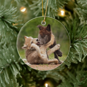 Grå vargvalpar bryter julgransprydnad keramik