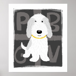 Grå & Vit PBGV Poster