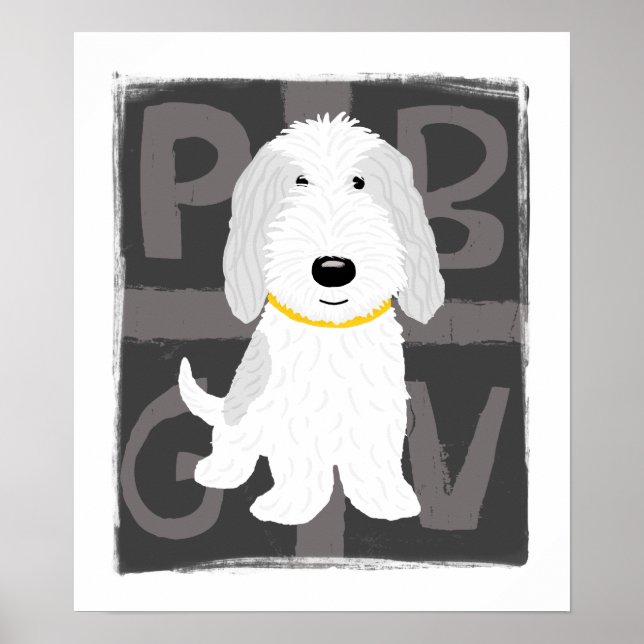 Grå & Vit PBGV Poster (Framsidan)