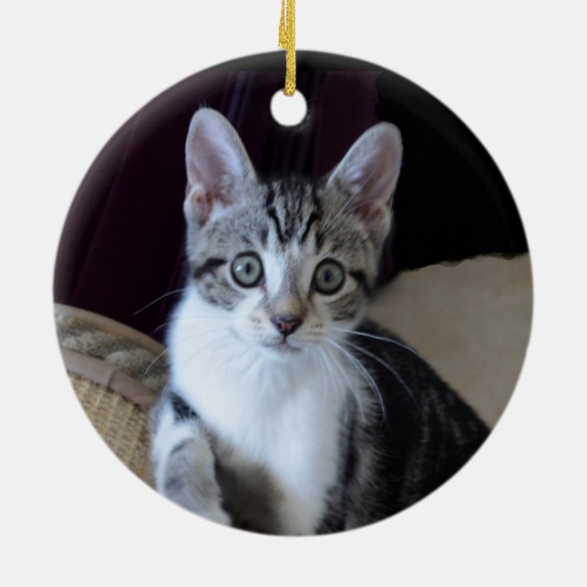 Grå/vit tabbymaskot ornament (Baksidan)