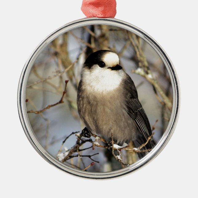 Gråa Jay Julgransprydnad Metall (Framsidan)