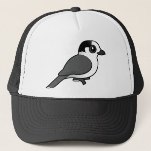 Gråa Jay Keps