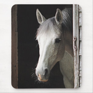 Gråa Marehästdjur Mousepad Musmatta
