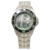 Gråbjörn promenerar i skogen