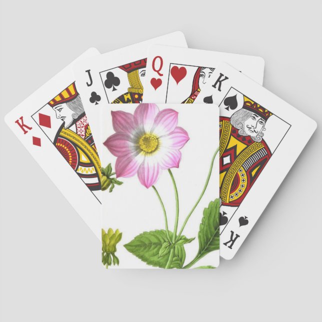 Grace Casinokort (Baksidan)